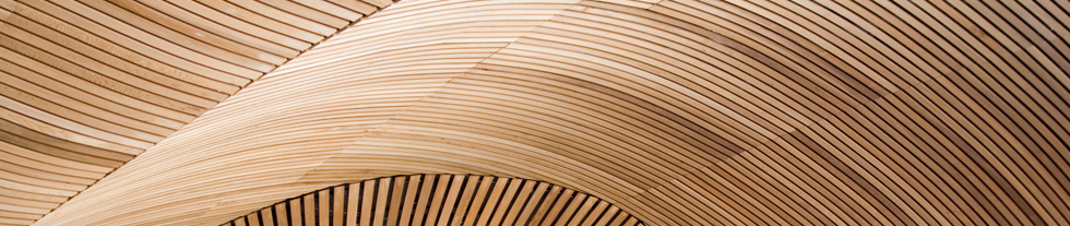 Holzarchitektur – HAUG Business Consulting